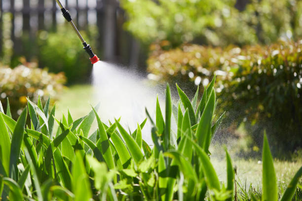 Tamper-Resistant Bait Stations for Rodents in Fearrington Village