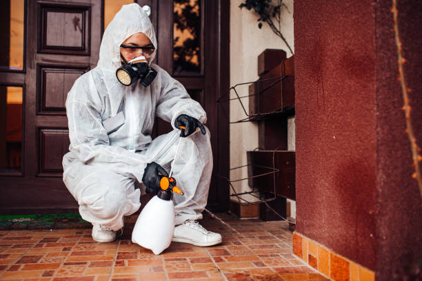 Attic and Crawl Space Rodent Treatment in Fearrington Village