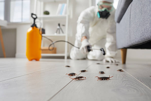 Commercial Rodent Management in Fearrington Village